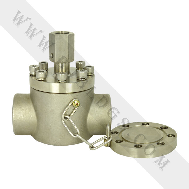 在線式隔膜化學密封F10